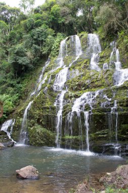Apia, So Paulo, Brezilya 'daki Mafalda şelalesinin güzelliği