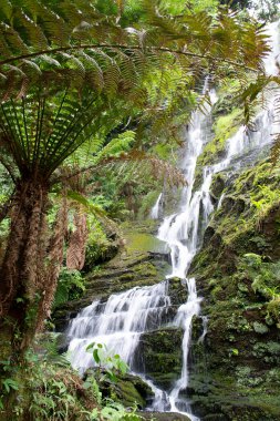 Apia, So Paulo, Brezilya 'daki Mafalda şelalesinin güzelliği