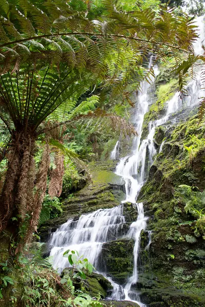Apia, So Paulo, Brezilya 'daki Mafalda şelalesinin güzelliği