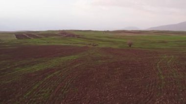 Beautiful Valley. Nature. Trees. Rural Fields. Agriculture. Farm. Lori Province, Armenia