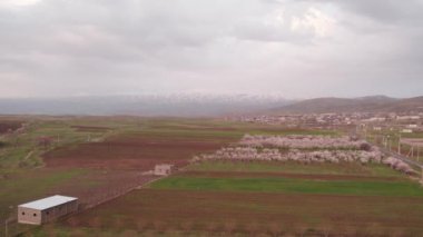 Beautiful Valley. Nature. Trees. Rural Fields. Agriculture. Farm. Lori Province, Armenia