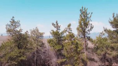 Beautiful Valley near snowy mountains