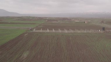 Güzel Vadi. Doğa. Ağaçlar. Kırsal alanlar. Tarım. Çiftlik. Lori Eyaleti, Ermenistan