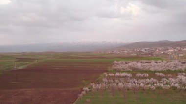 Beautiful Valley. Nature. Trees. Rural Fields. Agriculture. Farm. Lori Province, Armenia