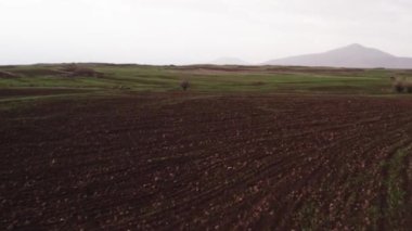 Beautiful Valley. Nature. Trees. Rural Fields. Agriculture. Farm. Lori Province, Armenia