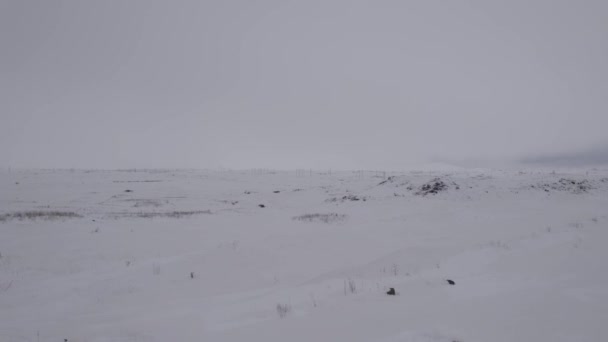 Las Frías Montañas Nevadas Una Europa Montañas Nevadas Invierno Armenia — Vídeos de Stock