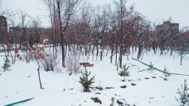 Avrupa Parkı 'nda Donmuş Ağaçlar