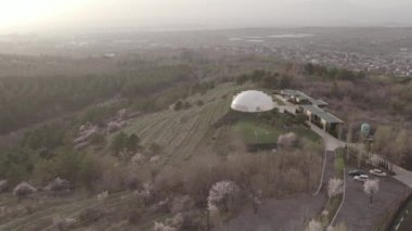 Ormandaki Güzel Sakura Ağaçları