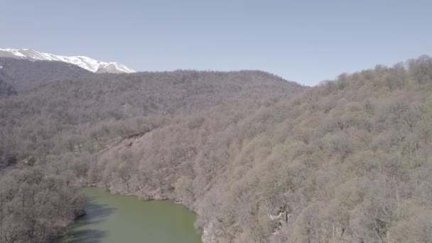 Beautiful Lake Green Forest Dilijan Armenia Aerial Video Lake Aerial — Wideo stockowe