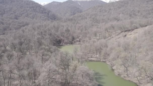 Beautiful Lake Green Forest Dilijan Armenia Aerial Video Lake Aerial — Vídeo de stock