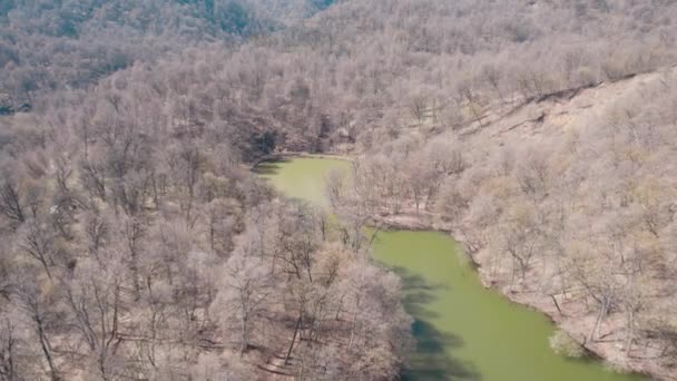 Красивое Озеро Зеленом Лесу Дилижан Армения Воздушное Видео Высоты Птичьего — стоковое видео