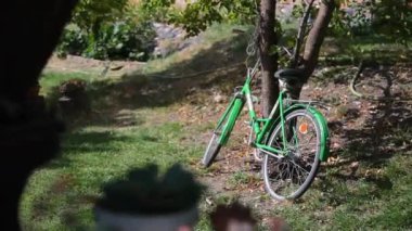 Old Green Bicycle. Steering wheel of an old bicycle standing in the park.