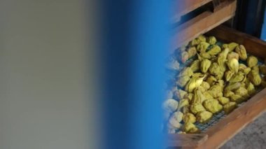 Dried fruits. The process of drying pear slices. Dried pear, chips, for compote.