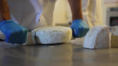 Cheese head (round) in man's hands closeup. Dairy production farm interior. Hard goat cheeses, bri. Delicious food. Milky store business. Healthy nutrition concept. Working male farmer.