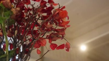 Kurumuş çiçekli vazo ve bej arka planda hareket eden gölgeler gölgeler. Minimum modern iç dekorasyon konsepti. Sonbahar wabi sabi stili estetik