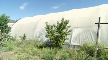 Aquaponics Farm in the Smart Greenhouse. Greenery. Beautiful modern garden with harvesting vegetables. Eco farming business. Greenhouse plantation. Concept for industrial agriculture.