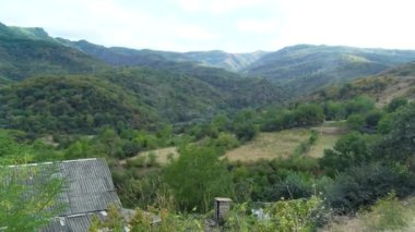 Avrupa 'da güzel renkli yoğun orman