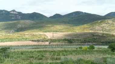 Avrupa 'da güzel renkli yoğun orman