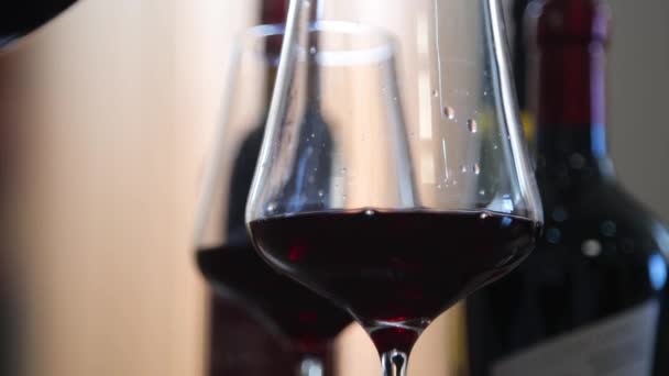 Kırmızı Beyaz Şarap Yaşam Tarzı Kırmızı Şarap Beyaz Şarap Şarap — Stok video