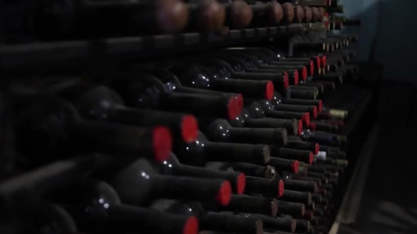 Red White Wine Lifestyle Red Wine White Wine Wine Tasting — Stockvideo