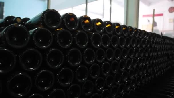 Czerwone Białe Wino Styl Życia Czerwone Wino Białe Wino Degustacja — Wideo stockowe
