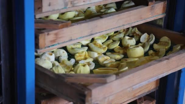 Dried Fruits Process Drying Pear Slices Dried Pear Chips Compote — Stock Video
