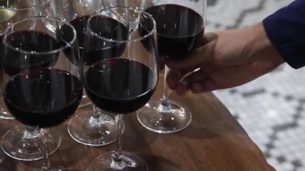 Red White Wine Lifestyle Red Wine White Wine Wine Tasting — Stock video