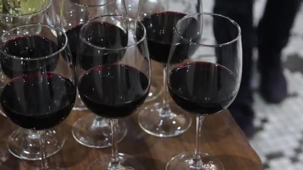 Vino Bianco Rosso Stile Vita Vino Rosso Vino Bianco Degustazione — Video Stock