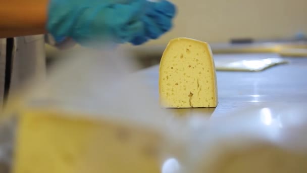 Cheese Head Man Hands Closeup Dairy Production Farm Interior Hard — Vídeo de stock