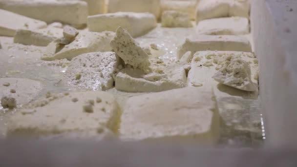 男の手にチーズヘッド ラウンド を閉じます 酪農場のインテリア ハードヤギチーズ おいしい料理 ミルキィストア事業 健康的な栄養コンセプト 働く男性農家 — ストック動画