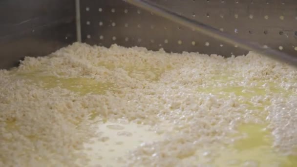 Cheese Head Man Hands Closeup Dairy Production Farm Interior Hard — Stockvideo