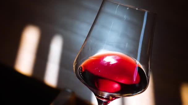 Glass Red Wine Lifestyle Red Wine White Wine Wine Tasting — Stock Video
