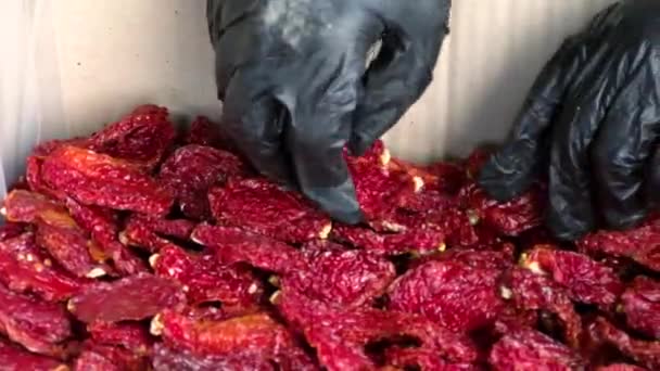 Dried Fruits Process Drying Pear Slices Dried Pear Chips Compote — Stockvideo