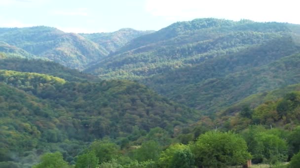 Gyönyörű Színes Sűrű Erdő Európában — Stock videók