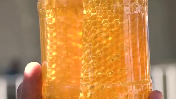 蜂蜜瓶食品甘い有機 自家製の健康的な蜂蜜の概念 手持ちのカメラを閉じて — ストック動画