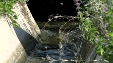 A muddy river with brown water. Slow current. A muddy river during a winter flood. dirty river. Dirty water of muddy river in flooding period during heavy rains in spring.