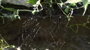 A muddy river with brown water. Slow current. A muddy river during a winter flood. dirty river. Dirty water of muddy river in flooding period during heavy rains in spring.