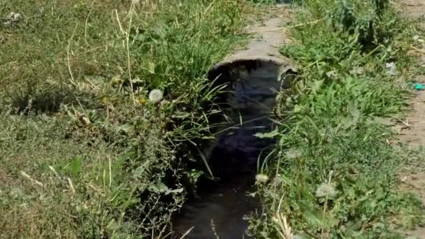 Une Rivière Boueuse Avec Eau Brune Courant Lent Une Rivière — Video