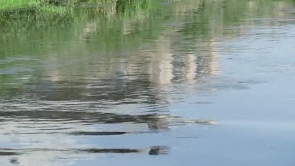 Kahverengi Suyu Olan Çamurlu Bir Nehir Yavaş Akım Kış Seli — Stok video