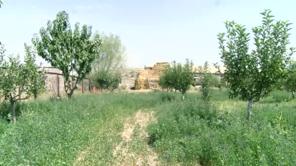 Heu Garten Altes Haus Dorf Armenien — Stockvideo