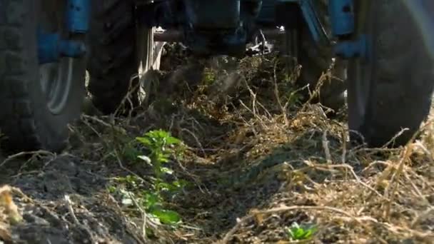 Sklizeň Brambor Sklizeň Brambor Zemědělské Stroje Traktor Bramborovým Kombajnem Sklízejí — Stock video