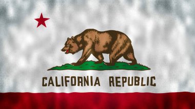 Kaliforniya Eyaleti bayrağı. Kaliforniya eyalet bayrağı rüzgarda sallanıyor. Bayrak dikişsiz döngü animasyonu. 4K.