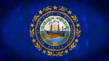 Detail of New Hampshire state flag waving. New Hampshire state seal on a dark blue field. US state flag. Rippled fabric. 3d render animation. Close-up. Textured background