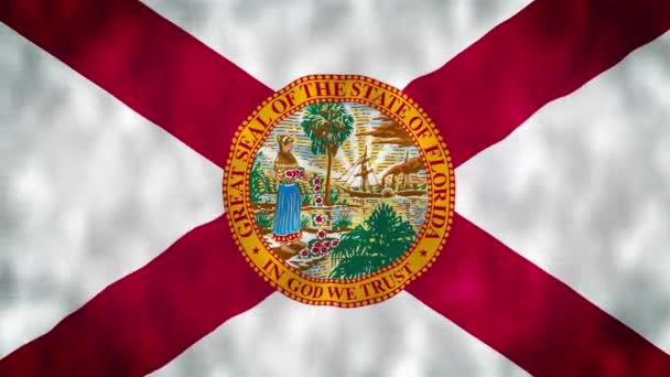 Flaga Stanu Floryda Usa Macha Wietrze Flaga Płynna Animacja Pętli — Wideo stockowe