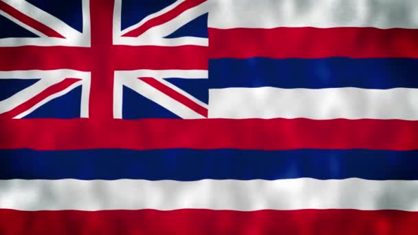 Delstaten Hawaiis Flagga Hawaii State Flagga Amerikas Förenta Stater Nyheter — Stockvideo