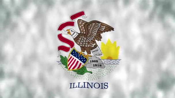 Vlag Van Staat Illinois Illinois State Flag Amerikaanse Vlag — Stockvideo