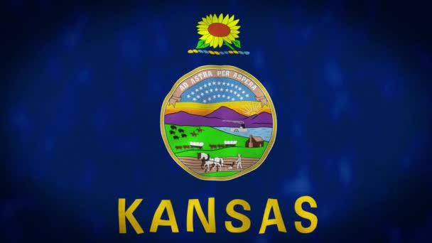 Fantastiskt Att Vifta Med Kansas Flagga Kansas Delstat Mellanvästern Huvudstaden — Stockvideo