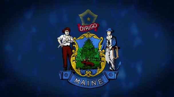 Maine Eyaleti Bayrağı Maine Eyaleti Bayrağı Rüzgarda Sallanıyor Bayrak Dikişsiz — Stok video