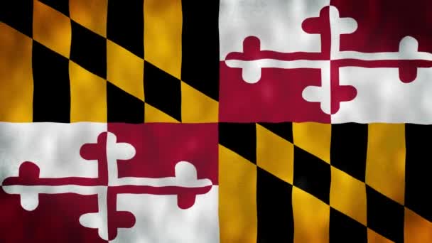 Bandera Del Estado Maryland Ondeando Viento Maryland Estado Región Del — Vídeo de stock