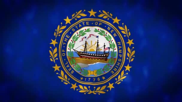 Dettaglio Della Bandiera Del New Hampshire Che Sventola Sigillo Stato — Video Stock